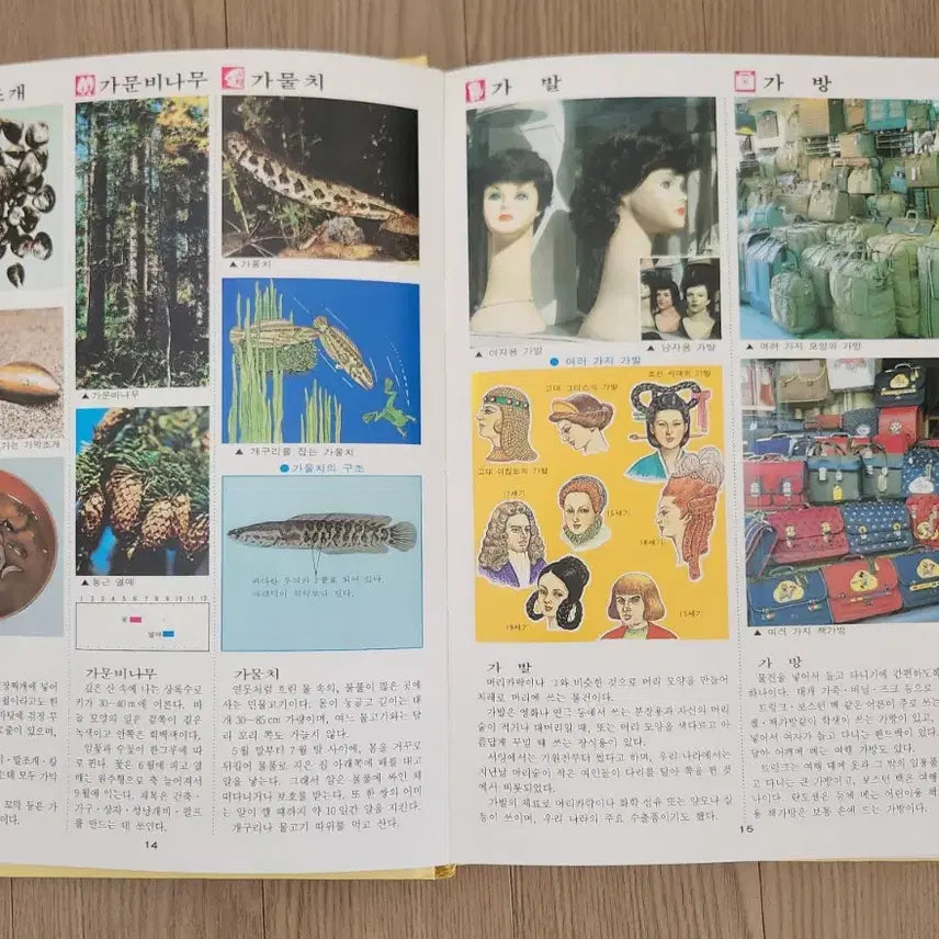 [BUNJANG] Gyemongsa Modern History Encyclopedia Set / ((근대사)) 계몽사 최신 컬러학습대백과 전집