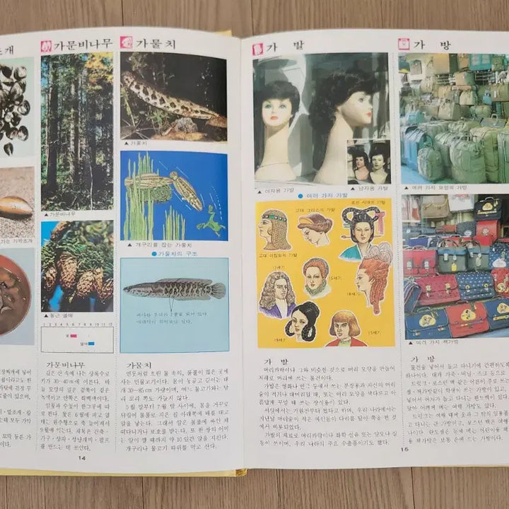 [BUNJANG] Gyemongsa Modern History Encyclopedia Set / ((근대사)) 계몽사 최신 컬러학습대백과 전집