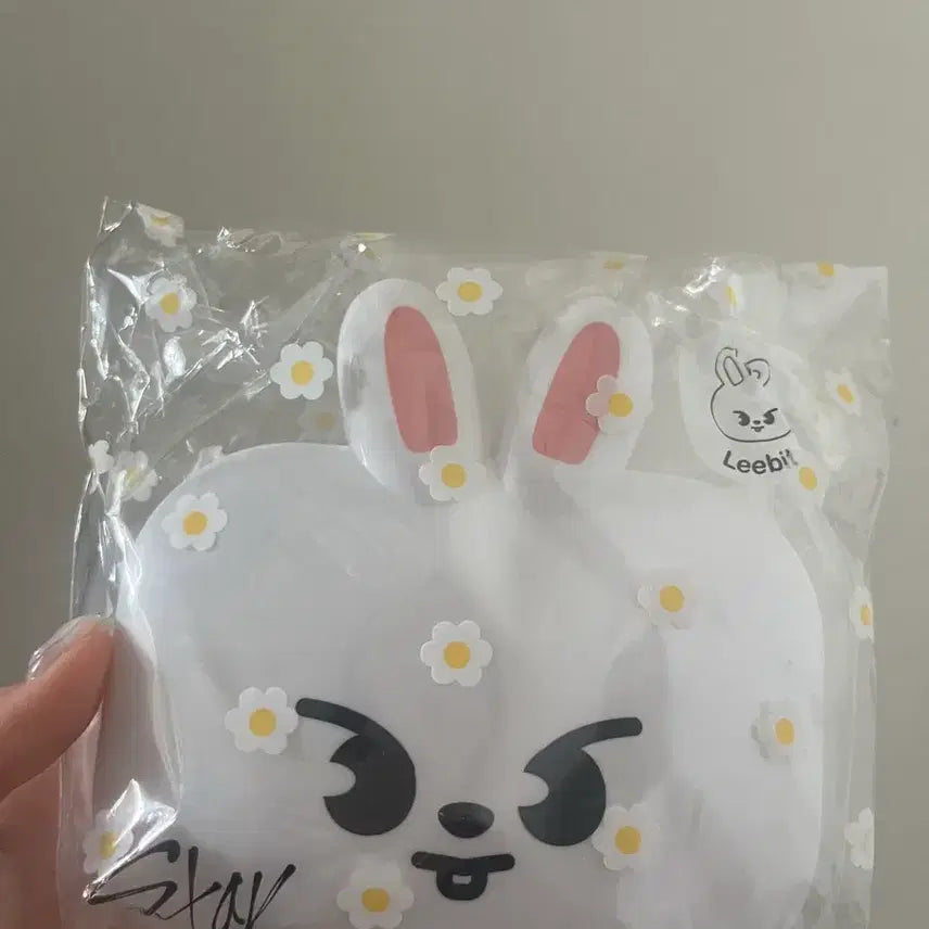 Stray Kids Leebit 리빗 도시락