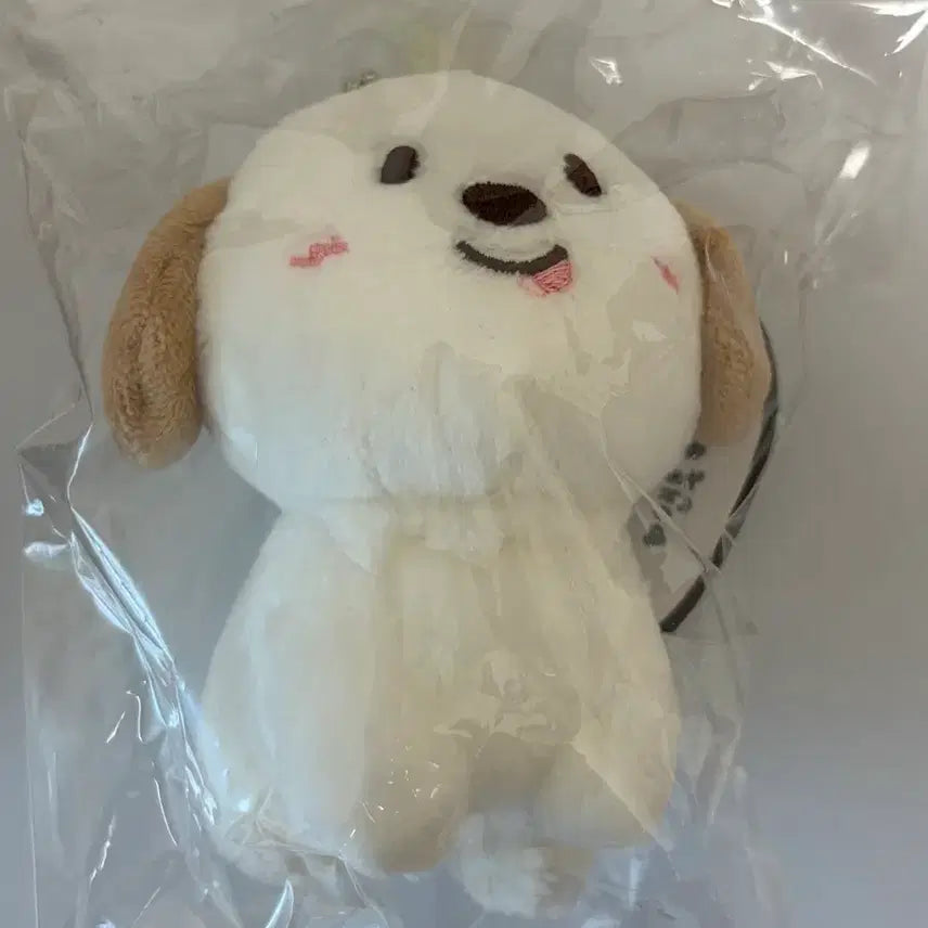 (미개봉) 라이즈 앤톤 10cm 인형 멍룡이 1기