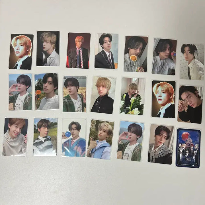 엔하이픈 enhypen 제이크 jake 중복 포카 일괄 처리