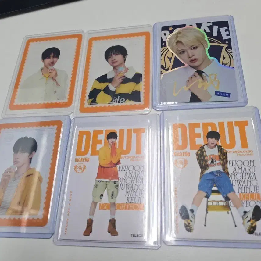 테레카 포토카드 일괄