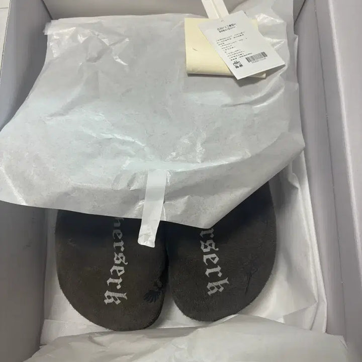 [BUNJANG] Polytelu Berserk Slider (Size 3) / (3)폴리테루 베르세르크 슬라이더