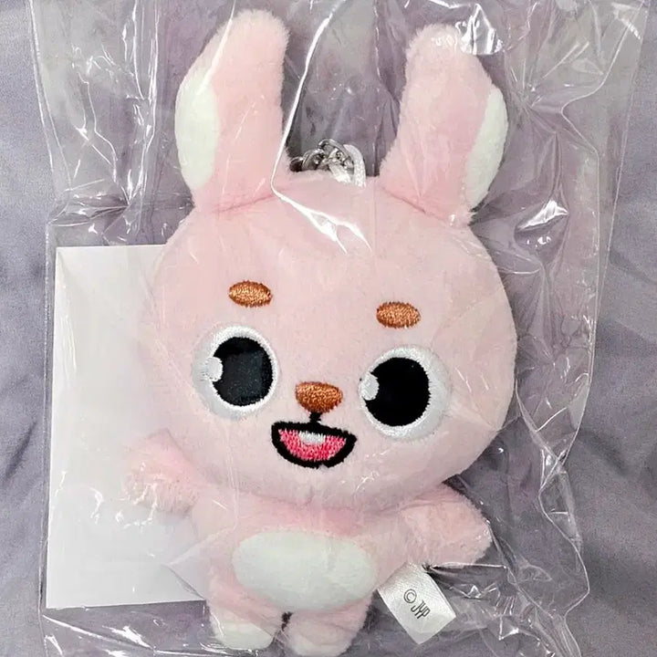 데이식스 일본MD 데니멀즈 필 백참