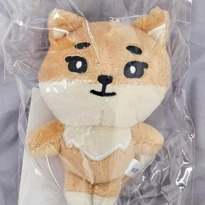 데이식스 일본 MD 데니멀즈 케 백참