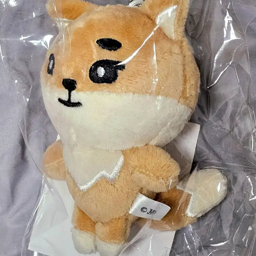 데이식스 일본 MD 데니멀즈 케 백참