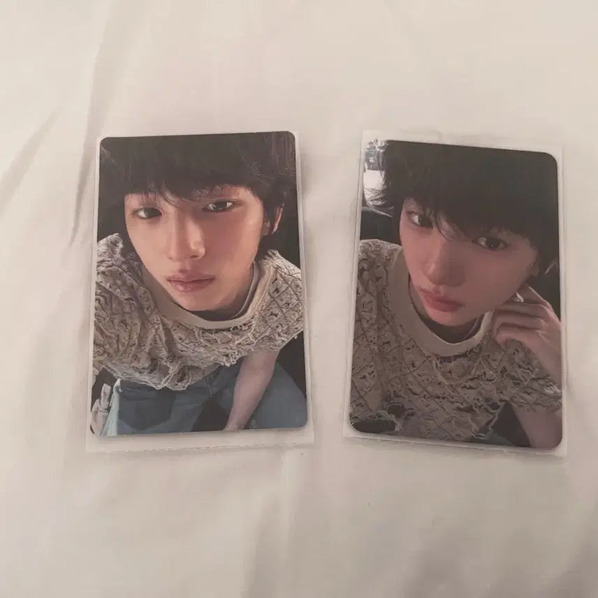 주훈 코르티스 포카 양도 팔아요 팝니다