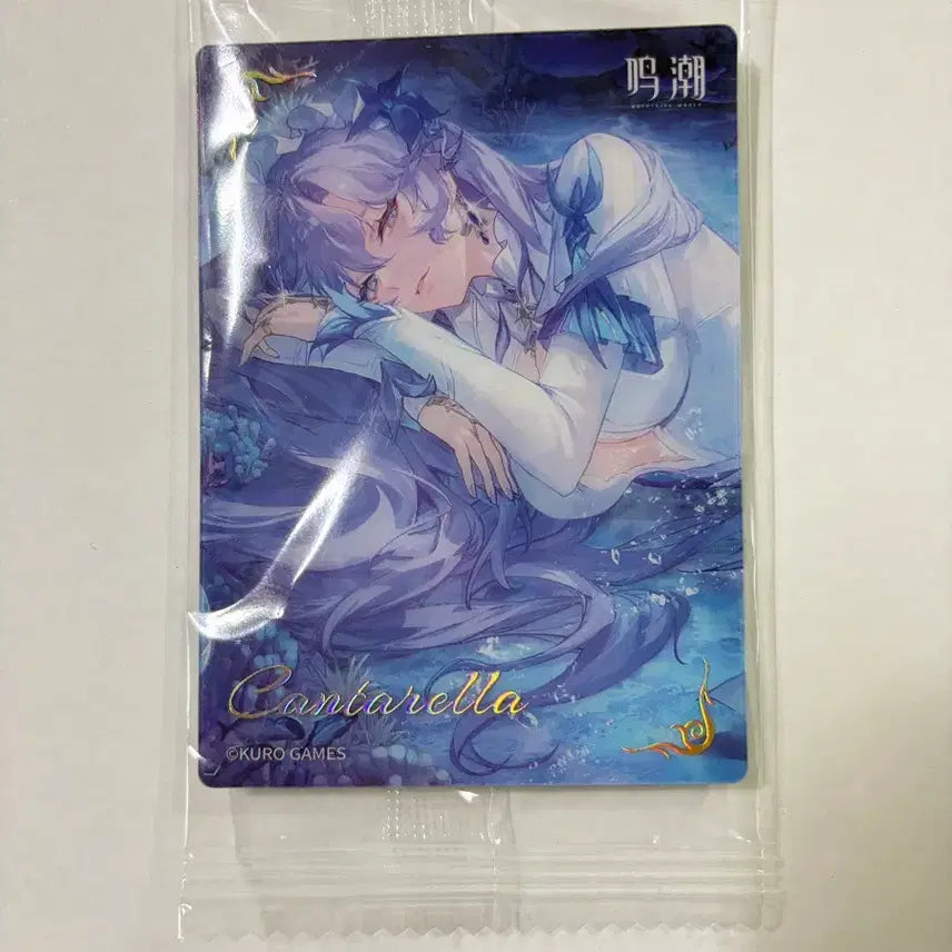 [BUNJANG] Myojo Lawson Collaboration Cantarella Illustration Card / [미개봉] 명조 공식 로손 콜라보 칸타렐라 일러스트 카드