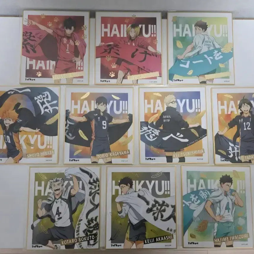 [BUNJANG] Haikyuu All 10 Color Paper Set / 하이큐 현수막 색지 전 10종