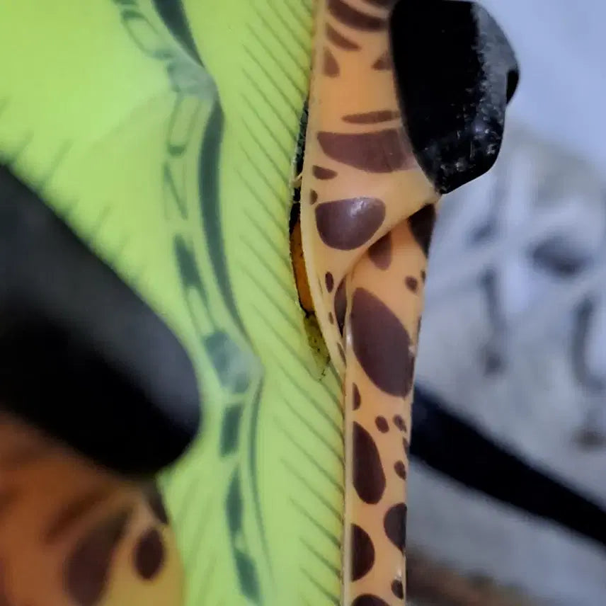 [BUNJANG] Nike Mercurial Superfly 10 Elite FG (Size 270) / 나이키 머큐리얼 슈퍼플라이10 엘리트 FG 270