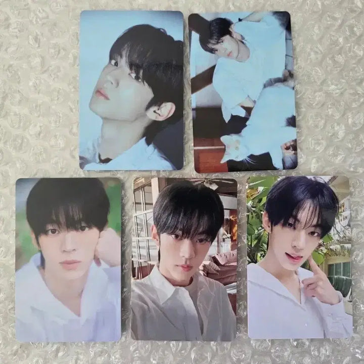 [BUNJANG] TWS Dohun Hajimemashite Pop-up Photocard Full Set / 투어스  도훈 하지메마시떼 팝업 트레카 풀세트