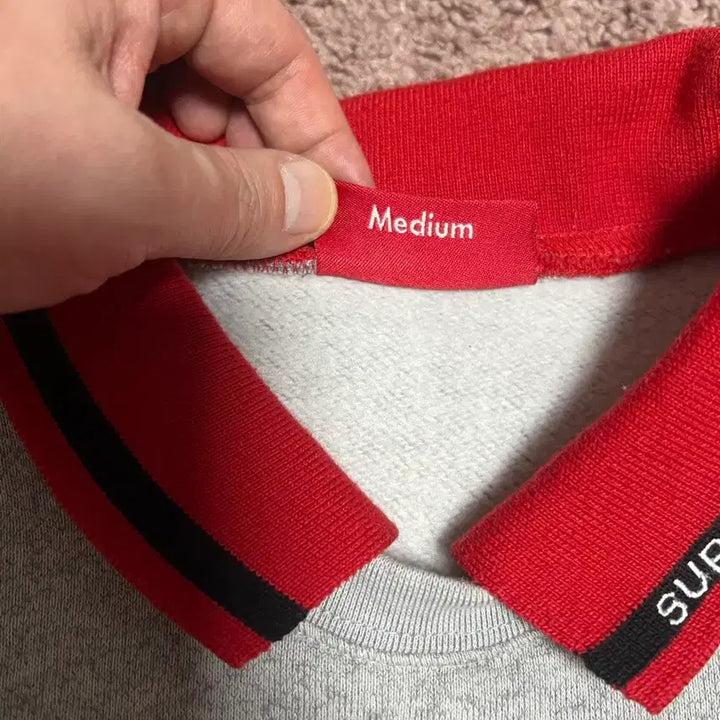 [BUNJANG] Supreme Sweatshirt Gray Red Men&
