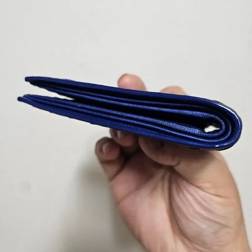 [BUNJANG] Bottega Veneta Two-Tone Leather Wallet / 보테가 베네타 투톤 반지갑