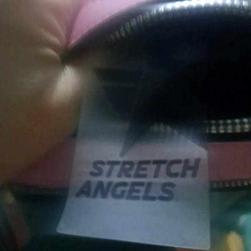 [BUNJANG] Stretch Angels Crossbody Bag (Pink) / 스트레치 엔젤스 크로스백 / 핑크색