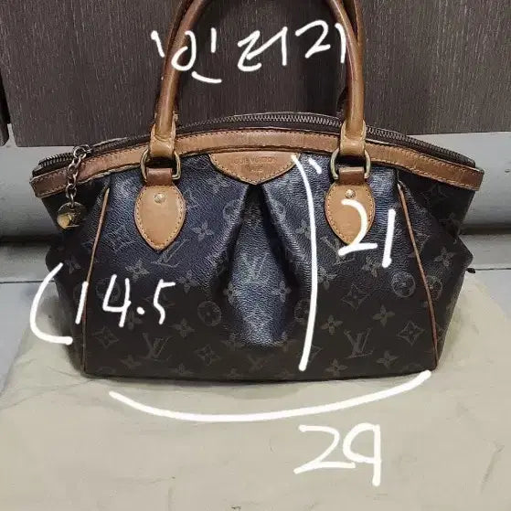[BUNJANG] Louis Vuitton Handbag Collection / 루이비통 가방정리