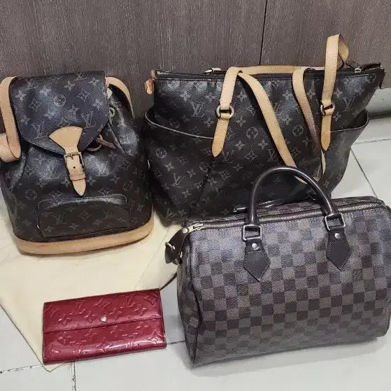 [BUNJANG] Louis Vuitton Handbag Collection / 루이비통 가방정리