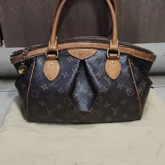 [BUNJANG] Louis Vuitton Handbag Collection / 루이비통 가방정리