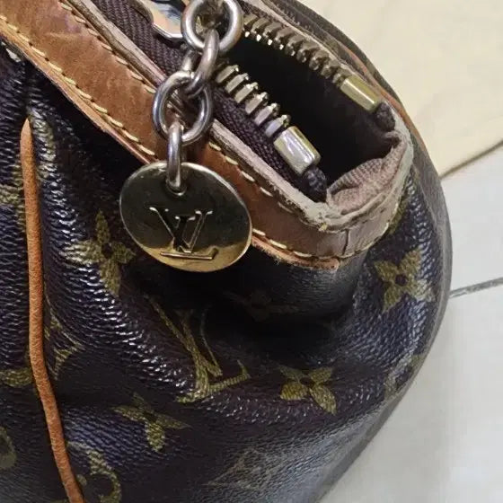[BUNJANG] Louis Vuitton Handbag Collection / 루이비통 가방정리