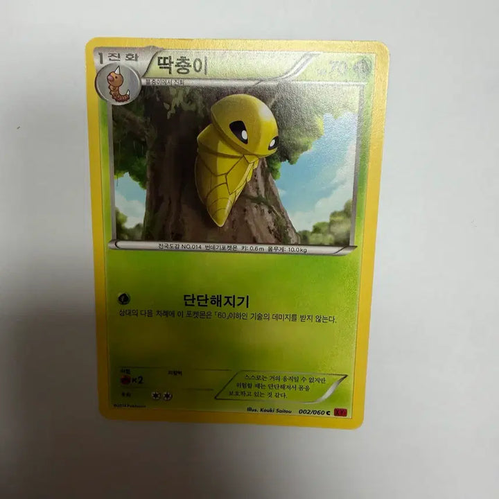 [BUNJANG] Pokemon Ttakchung-i Card / 딱충이 포켓몬카드