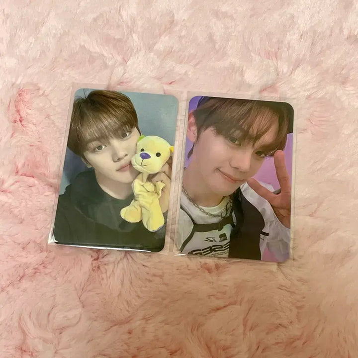[BUNJANG] ZEROBASEONE Kim Gyu Vin POB Photocard Bundle Set / [일괄] 제로베이스원 김규빈 미공포 포카