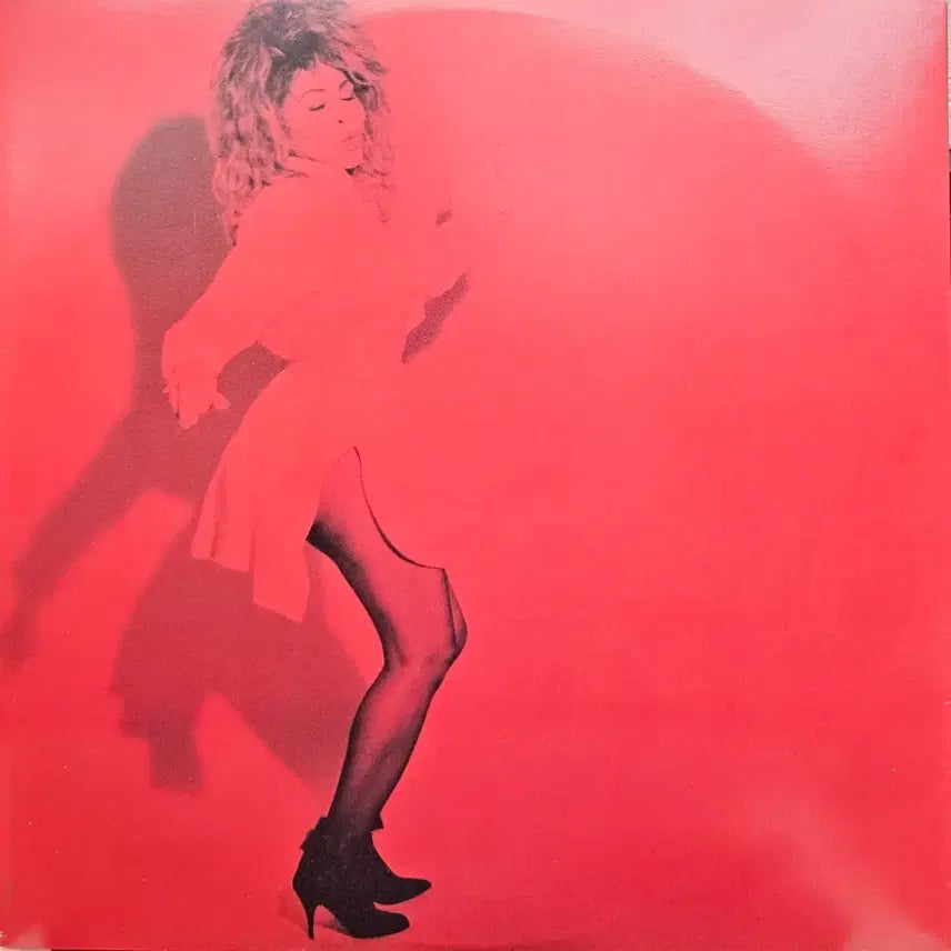 [BUNJANG] Tina Turner LP Record / 티나 터너 LP