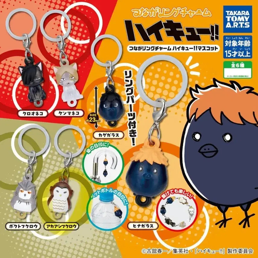 [BUNJANG] Haikyu Tsukishima Meijirushi (Bokuto) / 하이큐 츠나가링 메지루시(보쿠토)
