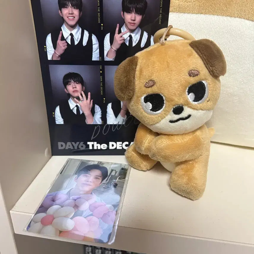 [SOLD OUT] 데이식스 돈 도운 데니멀즈 마그넷 인형 특전 포카 네컷