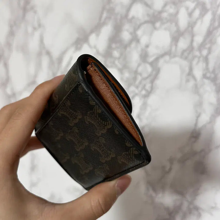 [BUNJANG] OS Celine Triomphe Wallet / [OS] 셀린느 트리옹프 지갑