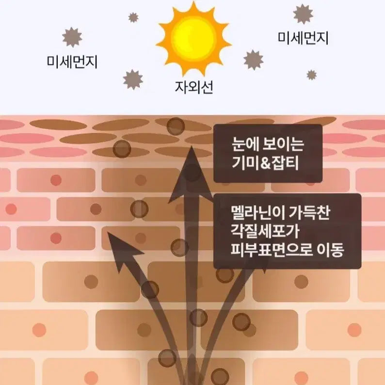 [BUNJANG] Olive Young Whitening Toning Cream 80ml / 올리브영 미백토닝크림 80ml 미개봉 새제품