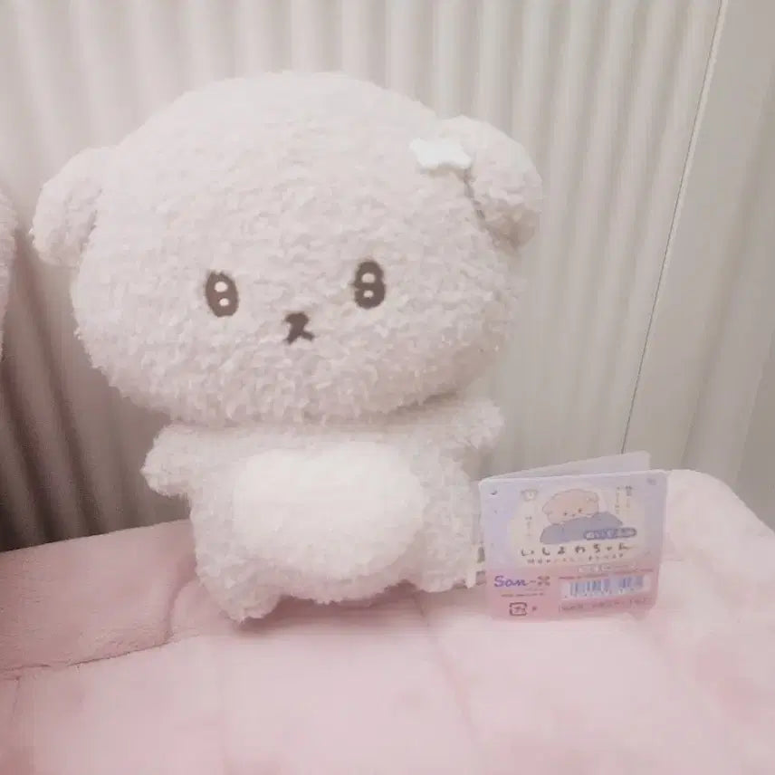 [BUNJANG] San-X Ishiyo-chan Plush Doll / 산엑스 이시요와짱 인형