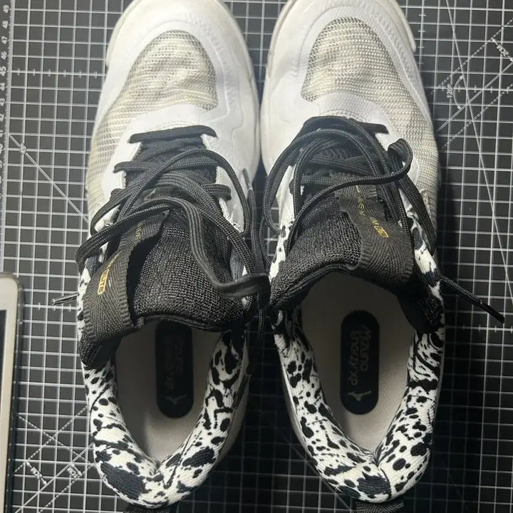 [BUNJANG] Mizuno Wave Momentum Elite Wide / 미즈노 웨이브 모멘텀 엘리트 와이드