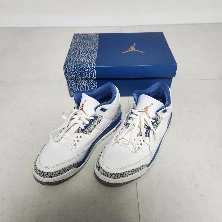 [BUNJANG] Jordan 3 Retro True Blue (Size 290) / 조던3 레트로 트루블루 290