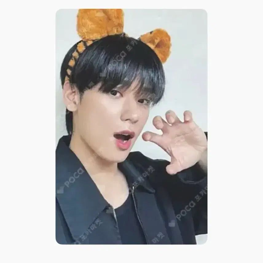 더보이즈 주연 타이거 공방