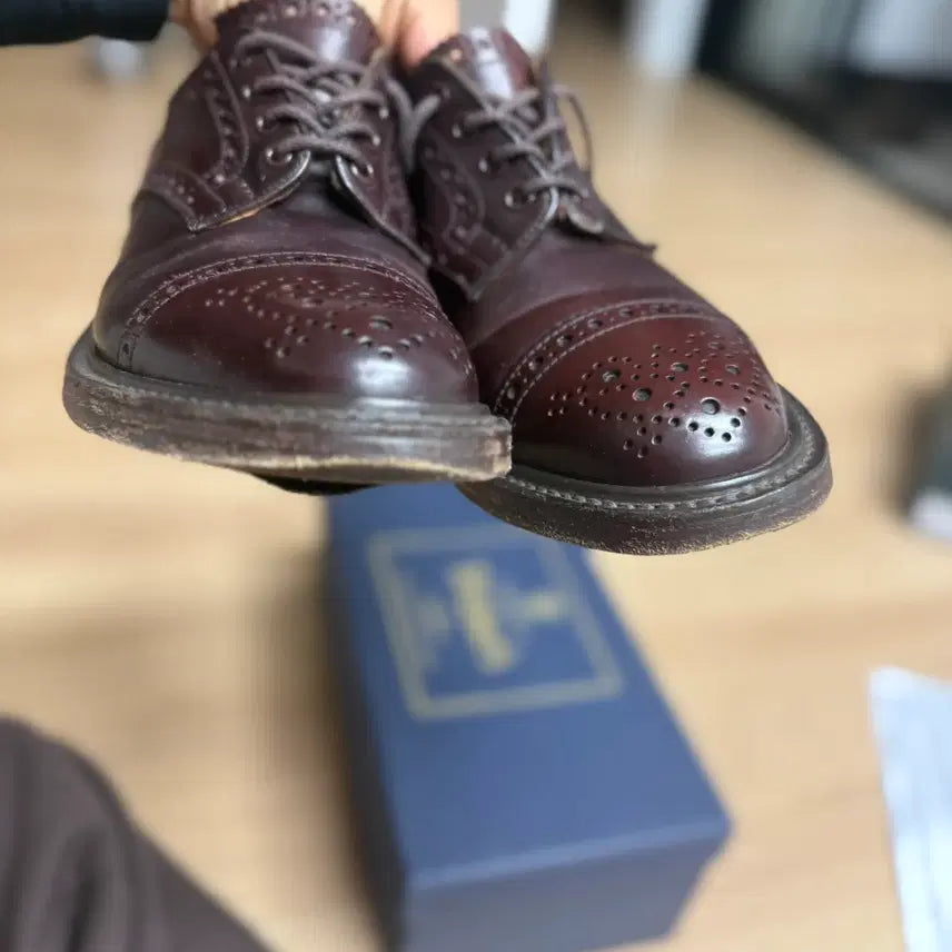 [BUNJANG] Tricker's Cordovan Derby UK7 Shoes / 트리커즈, 코도반 더비, UK7 size
