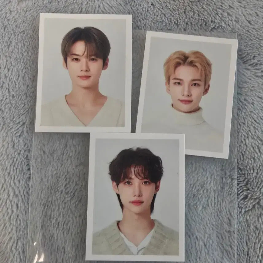 [SOLD OUT] 스키즈 공굿 앨범 포카 일괄 양도 스트레이키즈