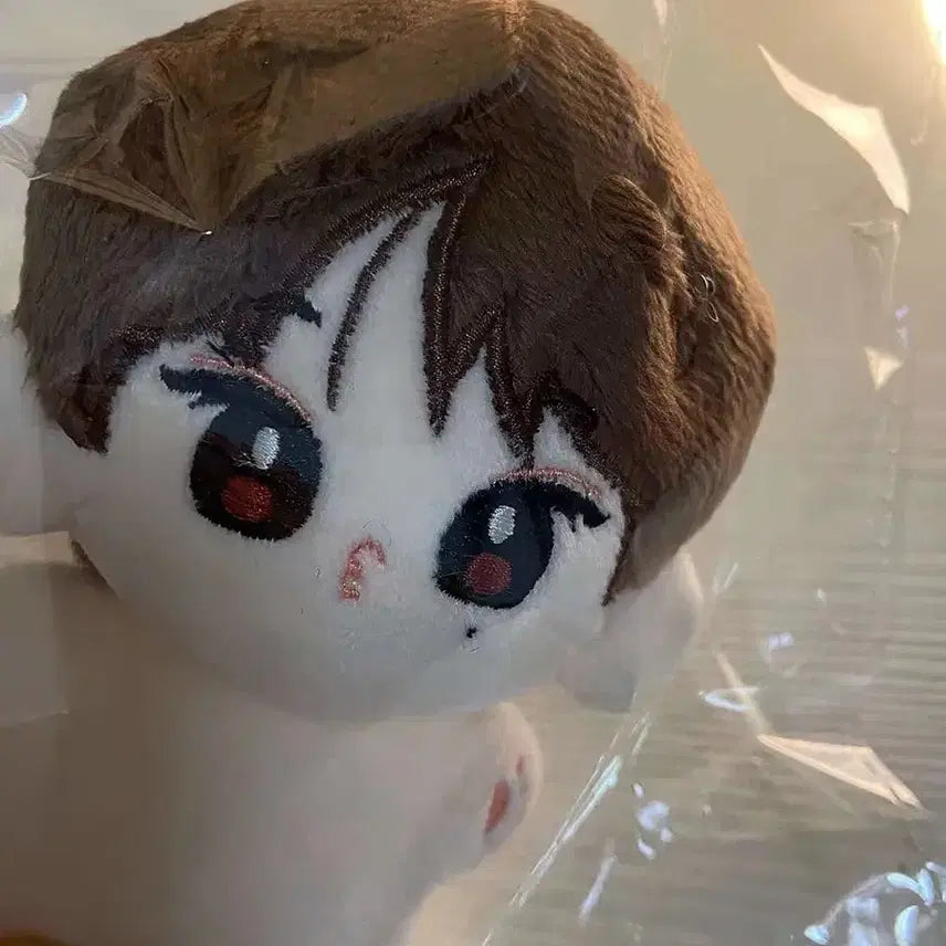 [BUNJANG] ENHYPEN Sunoo 10cm Doll / [인기] enhypen 김선우 10cm 솜인형