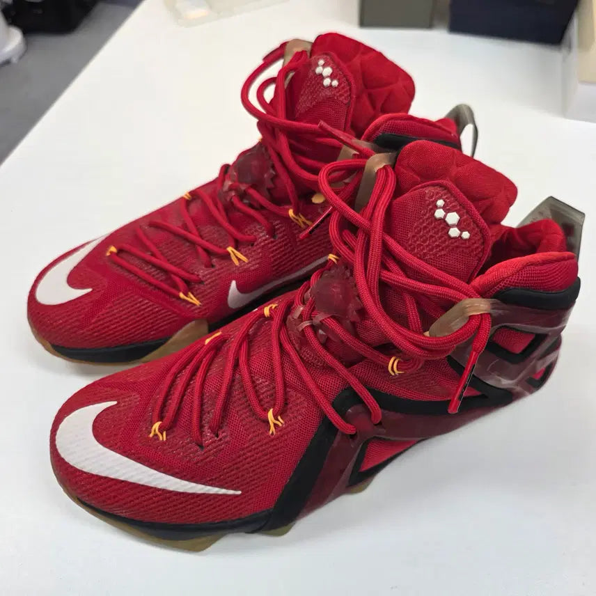 [BUNJANG] LeBron 12 Elite / [290 / 미착용새제품] 르브론 12 엘리트