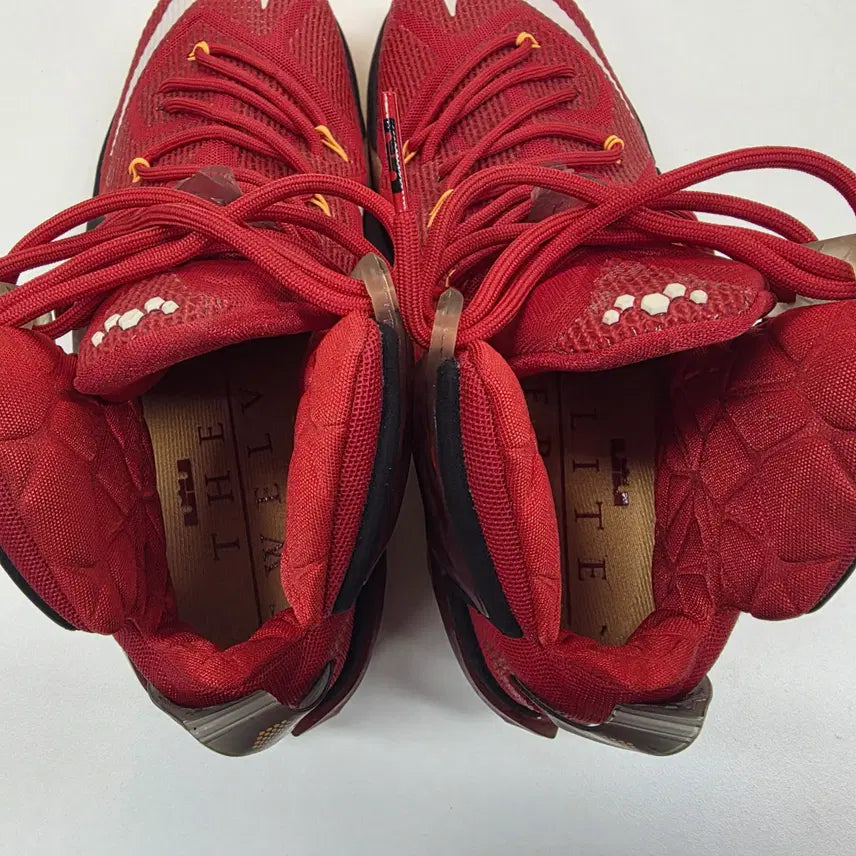 [BUNJANG] LeBron 12 Elite / [290 / 미착용새제품] 르브론 12 엘리트