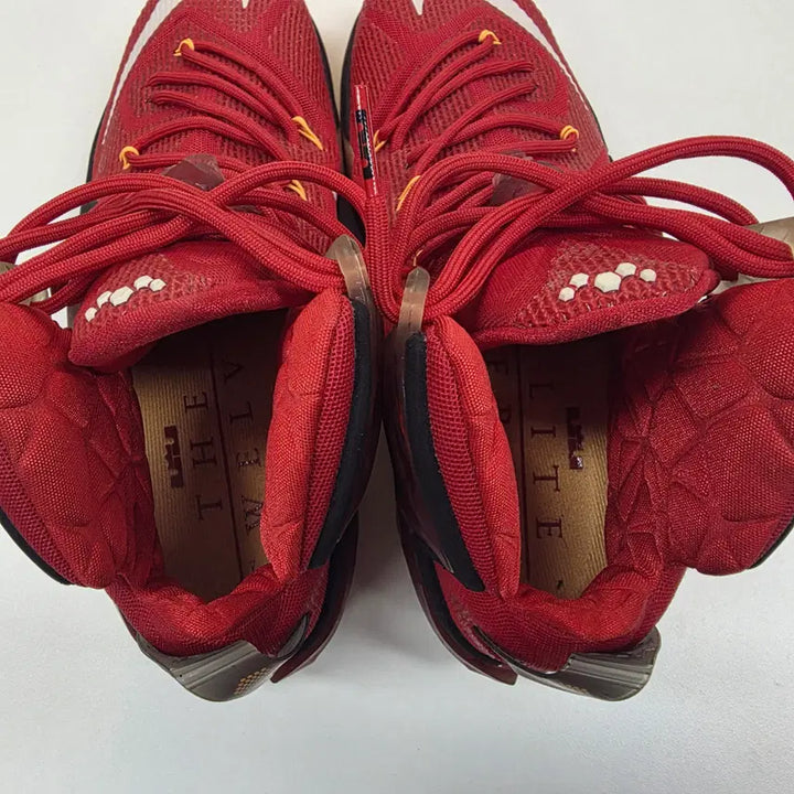 [BUNJANG] LeBron 12 Elite / [290 / 미착용새제품] 르브론 12 엘리트