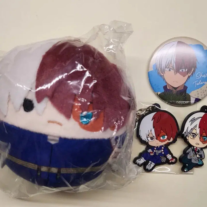 [BUNJANG] My Hero Academia Todoroki Shoto Bundle Set / 나의 히어로 아카데미아 토도로키 쇼토 일괄판매합니당