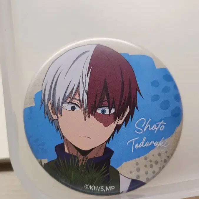 [BUNJANG] My Hero Academia Todoroki Shoto Bundle Set / 나의 히어로 아카데미아 토도로키 쇼토 일괄판매합니당