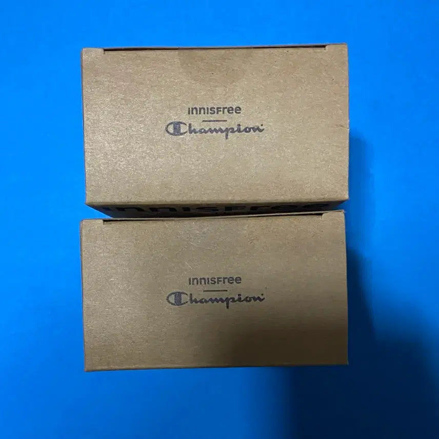 [BUNJANG] Innisfree x Champion Teddy Bear Keyring / [새제품]이니스프리X챔피온콜라보/한정판굿즈 테디베어키링