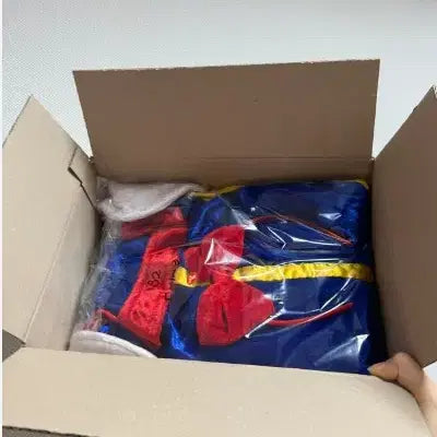 [BUNJANG] Cosplay Dress (All Sizes) / 중고 백설공주 코스프레 드레스 모든 사이즈 판매합니다 졸업사진 컨셉 추천