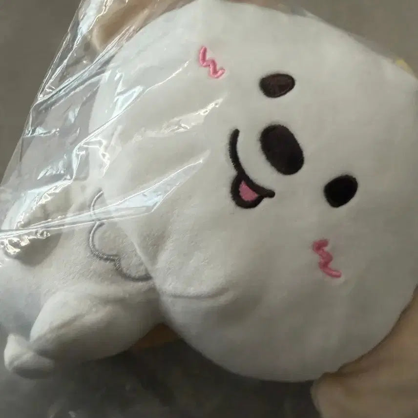 [BUNJANG] RIIZE WonBin Boss RIIZE Coin Purse / 라이즈 보스라이즈 동전지갑 멍룡이 양도