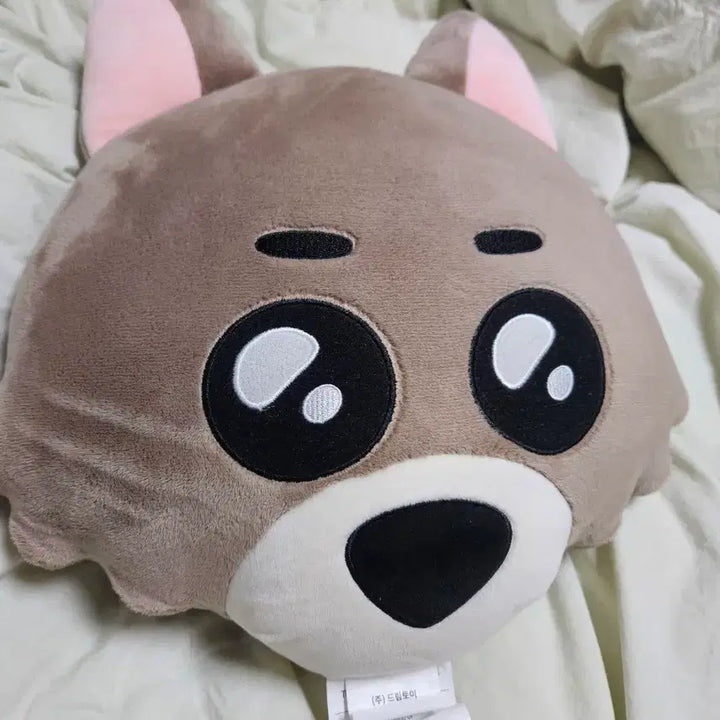 [BUNJANG] BOYNEXTDOOR Myungjae Cushion / 급처)보이넥스트도어 쁘넥도 명명이 쿠션