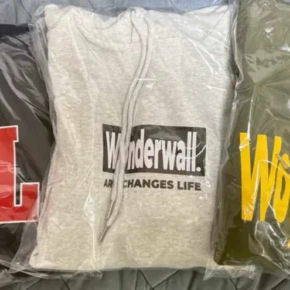 트레저 원더월 아이디카드 증사 현석지훈요시준규재혁아사히도영하루토정우정환