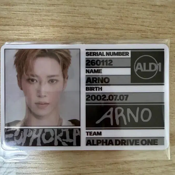 [BUNJANG] AlphaDriveOne Arno ID Card / 알파드라이브원 아르노 아이디카드