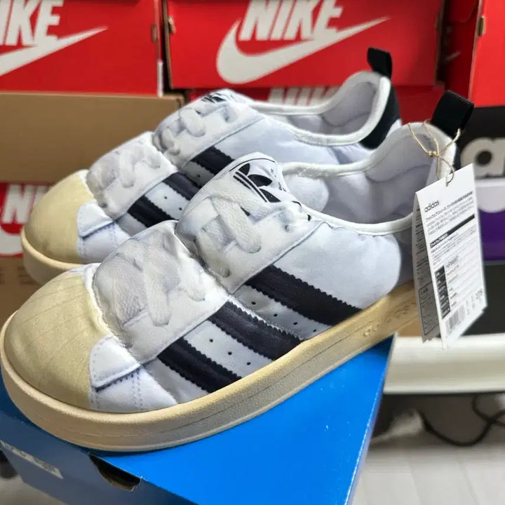 [BUNJANG] Adidas Puppey Superstars Shoes / 새제품 아디다스 퍼피렛 슈퍼스타 275 팔아요
