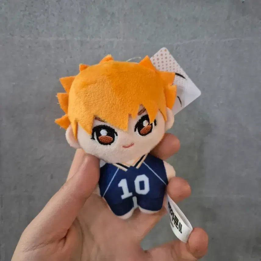 [BUNJANG] Haikyuu Hinata Shoyo Plush Doll / [택ㅇ] 하이큐 히나타 쇼요 인형 봉제인형