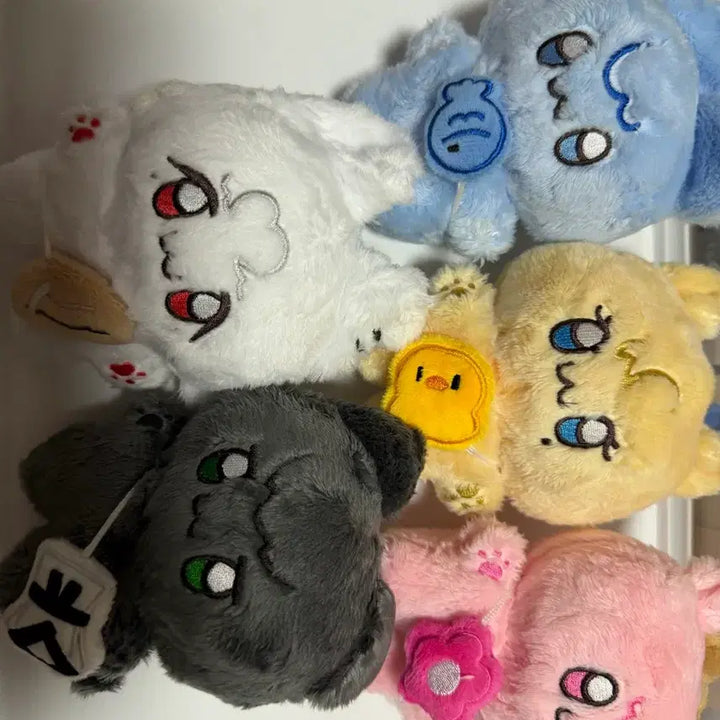 [BUNJANG] PLAVE Doll Bundle Set / 플레이브 비공식 인형 일괄